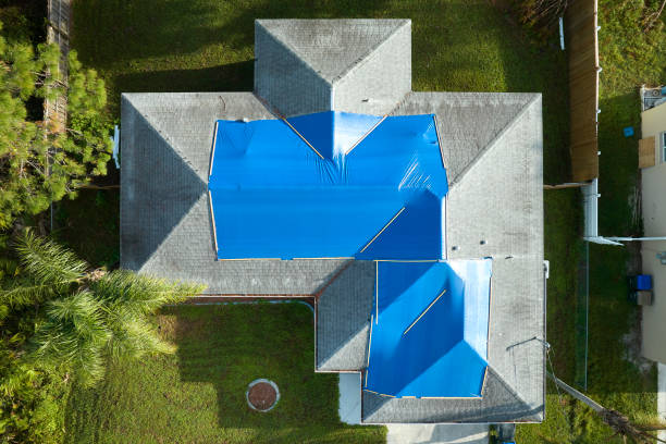 Best Roof Moss and Algae Removal  in Edwardsville, PA